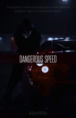 Dangerous speed ~ZAWIESZONA na czas nie określony 