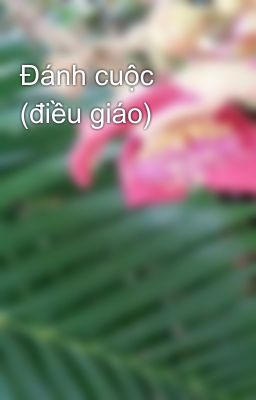 Đánh cuộc (điều giáo)