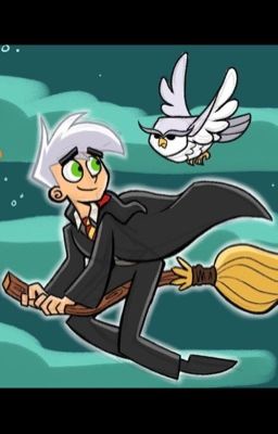 Danny Phantom Harry Potter