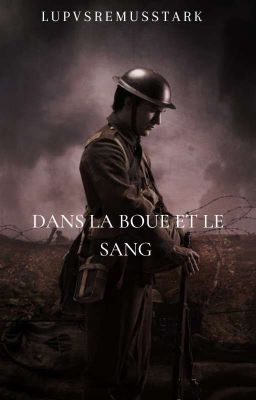 Dans la boue et le sang |Terminée|