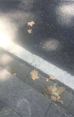 đào nguyên anh lạc ᶻ 𝗓 𐰁 vague