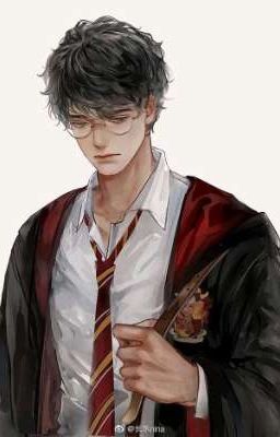 Dark Lord Potter