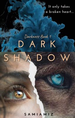 Dark Shadow (Book 1 in DARKNESS DUOLOGY)