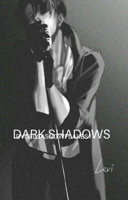 Dark shadows (Levi x reader book 1)