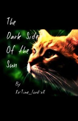 Dark side of the Sun