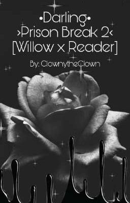 •Darling•  Willow x Reader