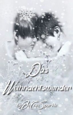 Das Weihnachtswunder ~ Adventskalender [Buch1]