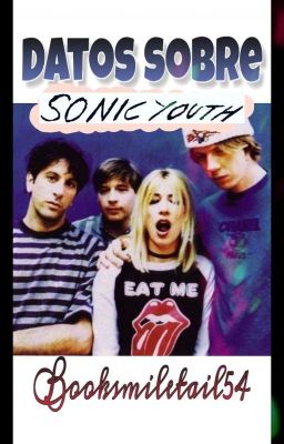 Datos sobre Sonic Youth