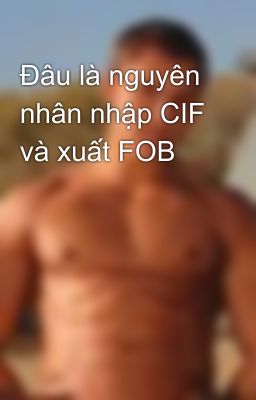 Đâu là nguyên nhân nhập CIF và xuất FOB