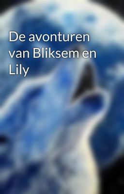 De avonturen van Bliksem en Lily