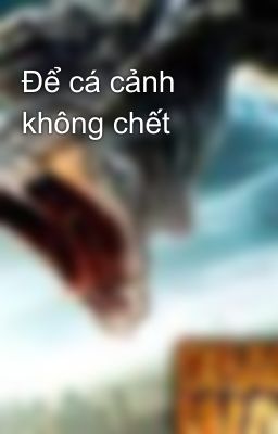 Để cá cảnh không chết