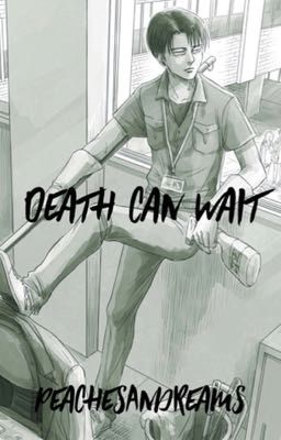 Death Can Wait (Levi x Reader)