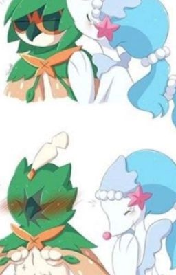 Decidueye's Diary