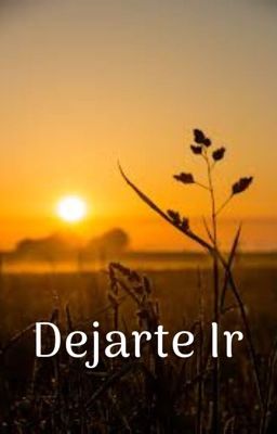 Dejarte Ir