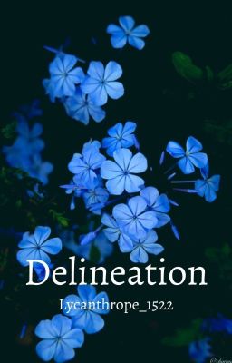 DELINEATION 