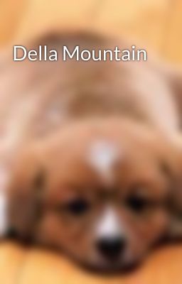 Della Mountain