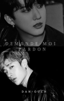 DEMANDE-MOI PARDON [Skz fanfic ↪ Binchan / TERMINEE]