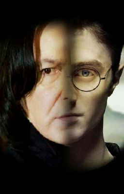 Der bittere Schmerz der Wahrheit (Harry Potter Fanfiction)