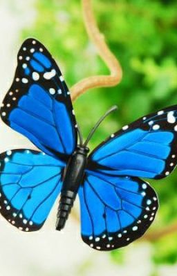 Der kleine blaue Schmetterling