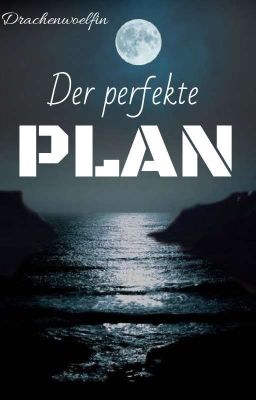 Der perfekte Plan