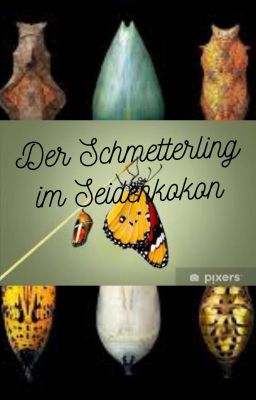 Der Schmetterling im Seidenkokon