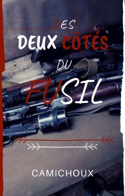 Des deux côtés du fusil - Terraink