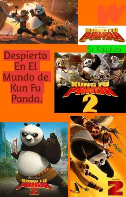 Despierto en el Mundo de Kunfu Panda.