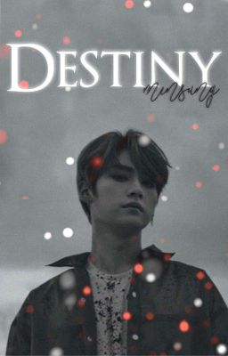 ~Destiny~ Minsung