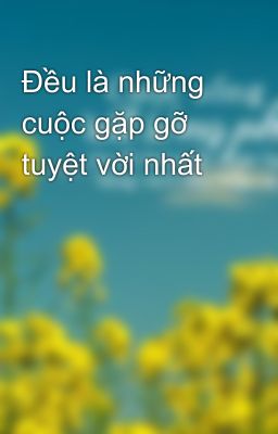 Đều là những cuộc gặp gỡ tuyệt vời nhất