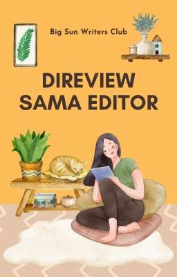 Di-Review Editor