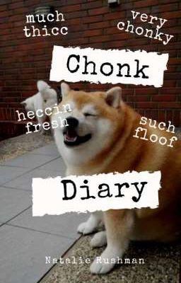 Diary of a Chonk Doge