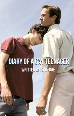 Diary of a Gay Teenager