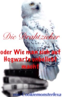 Die Drahtzieher-Eine ungewöhnliche HP fanfiction