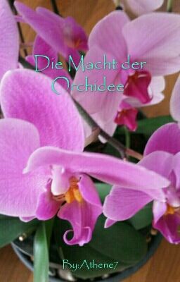 Die Macht der Orchidee 