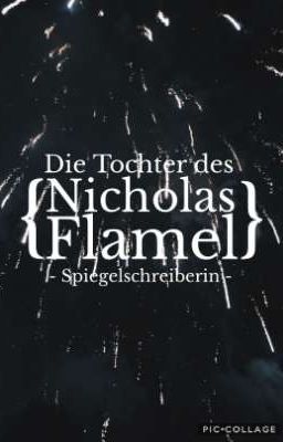 Die Tochter des Nicolas Flamel (Rumtreiber  FF)