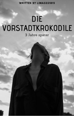 Die Vorstadtkrokodile 4