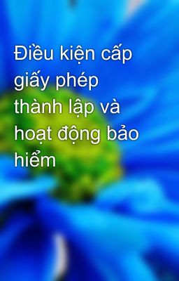 Điều kiện cấp giấy phép thành lập và hoạt động bảo hiểm