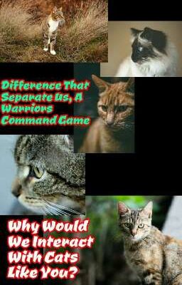 Difference That Separate Us, A Warriors Command Game