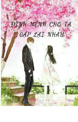 ĐỊNH MỆNH CHO TA GẶP LẠI NHAU