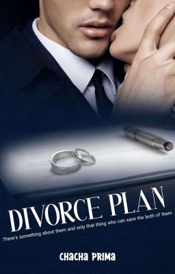 DIVORCE PLAN