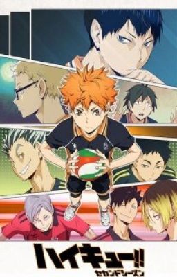 ĐN Haikyuu [Bông hoa của sân đấu]