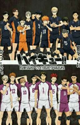 (Đn haikyuu) Em là ánh dương của bọn anh