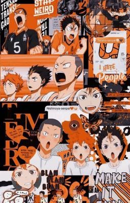 (đn Haikyuu!!) Thành viên nữ của đội