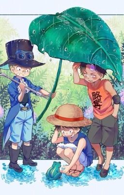 [Đn One Piece] Biển lửa, sao mờ