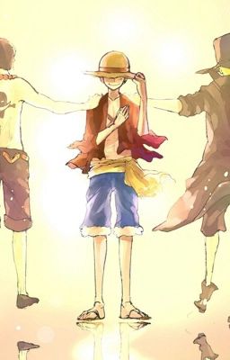 (Đn one piece) Nhật ký hàng hải của kỵ sĩ sau khi xuất ngũ