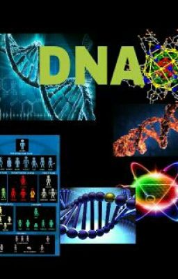 DNA