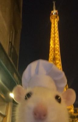 dnal | đừng nổi cáu với anh mò