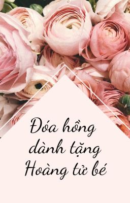 Đóa hồng dành tặng Hoàng tử bé