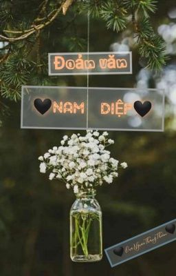 [Đoản Ngắn] Nam Diệp🖤