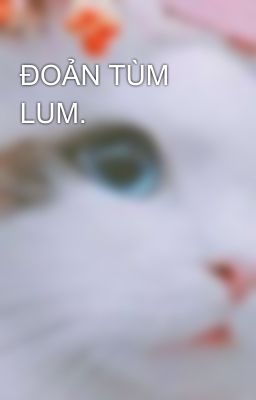 ĐOẢN TÙM LUM.